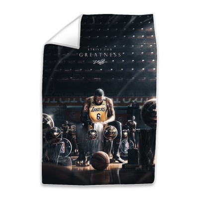 Lebron Trophies Easy Build Rahmen