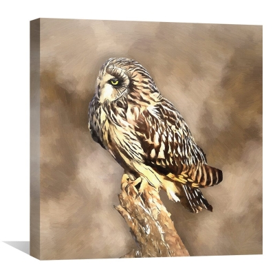 Toile Hibou des marais courtes