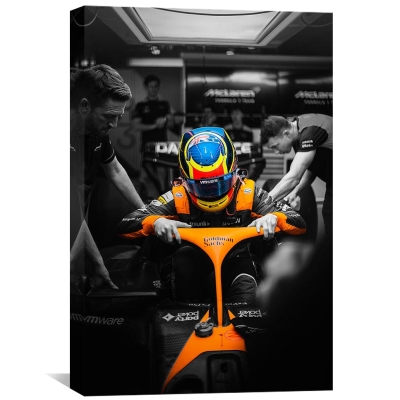 Toile de pilote F1