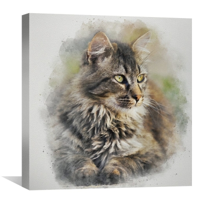 Toile Chat Maine Coon