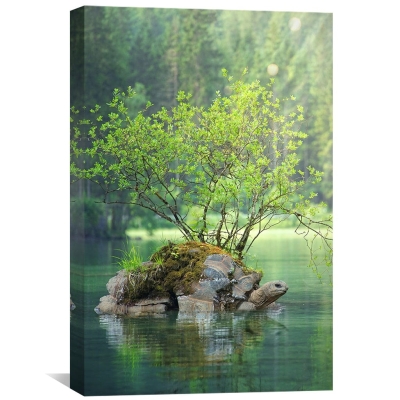 Toile Tortue de Lac