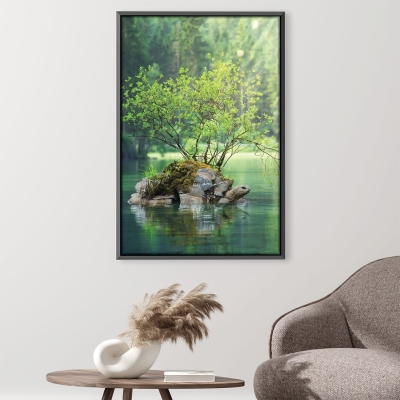 Toile Tortue de Lac