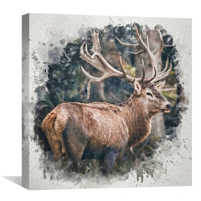 Toile NeForest Prince