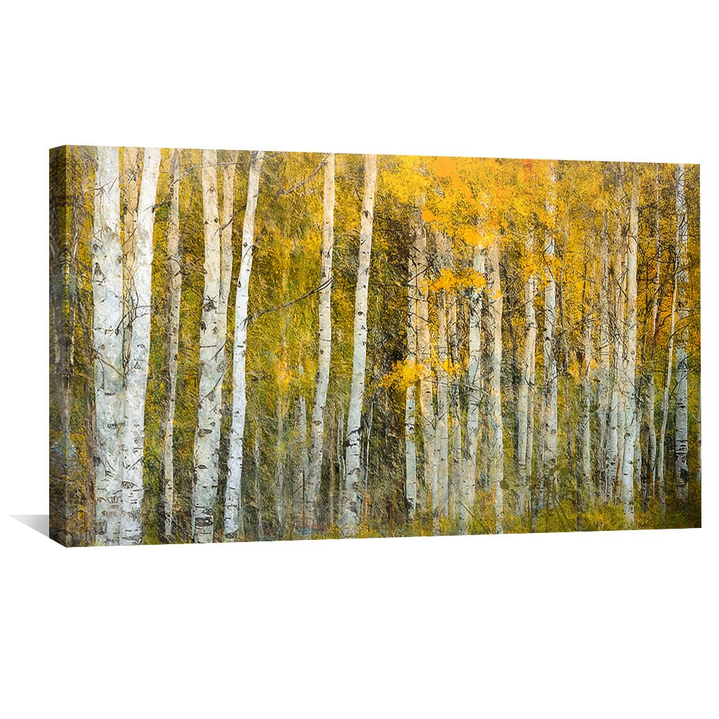 Toile épaisse de la forêt
