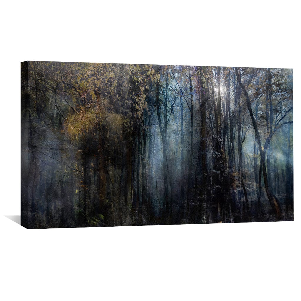 Toile Arbres mystérieux