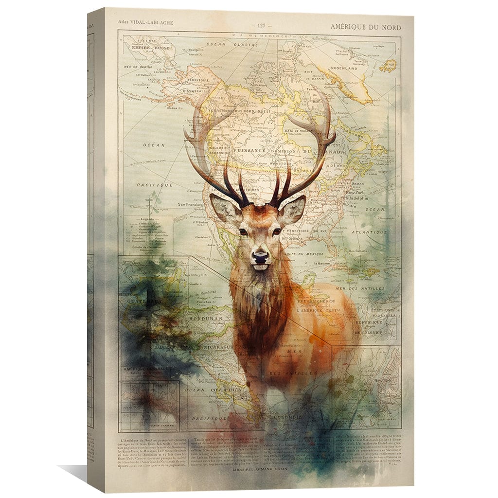 Toile de cerf dans la forêt