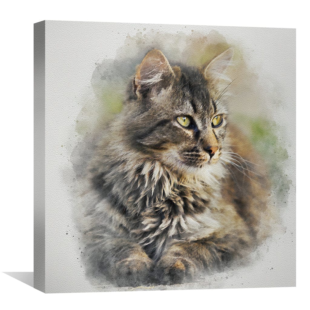 Toile Chat Maine Coon