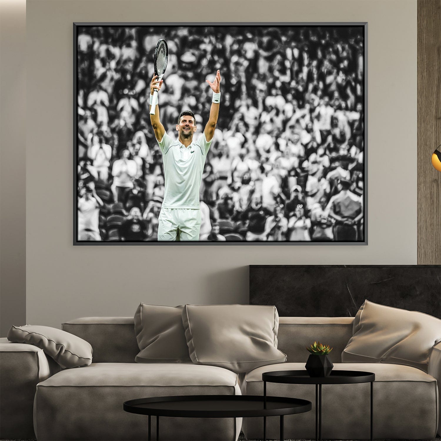 Djokovic et la toile de la foule