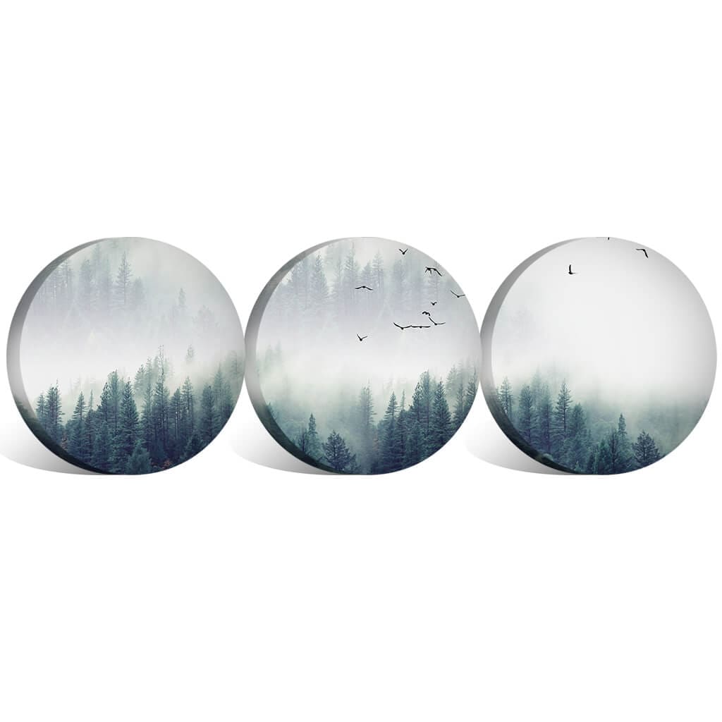 Toile Paysage Forestier - Cercle