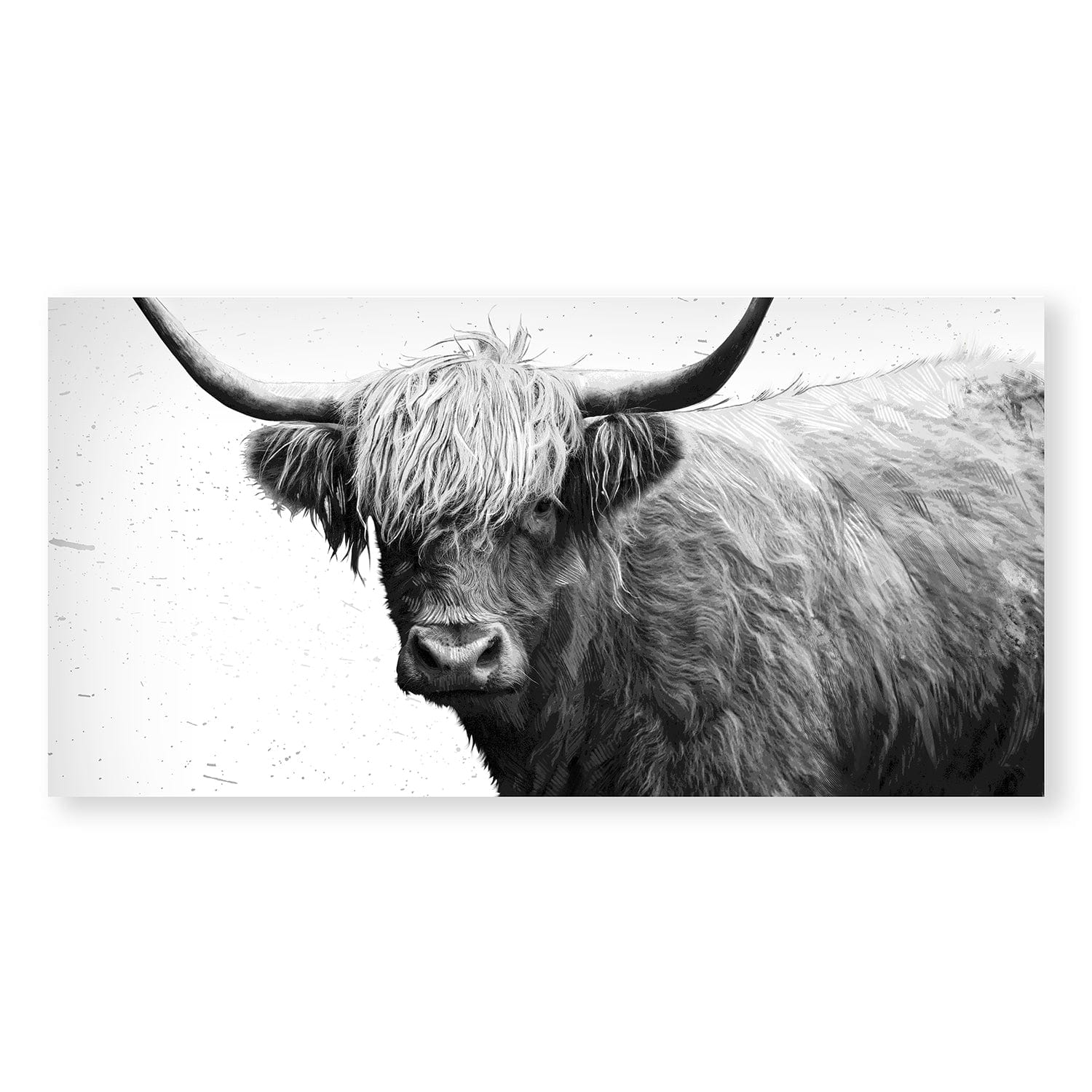 Toile de vache Highland noire et blanche