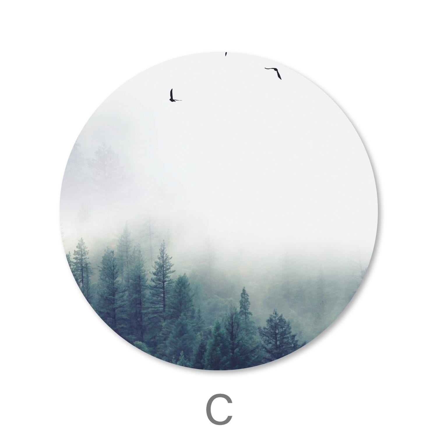 Toile Paysage Forestier - Cercle