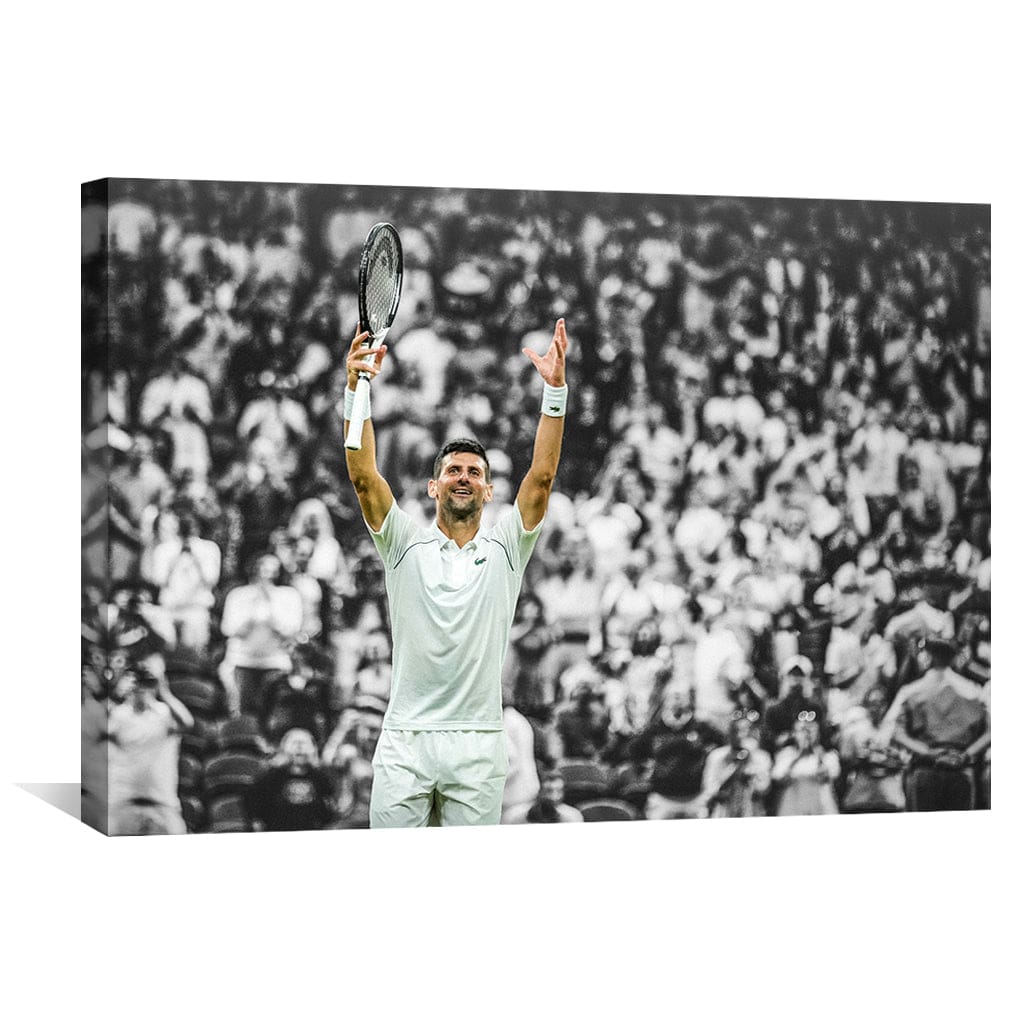 Djokovic et la toile de la foule