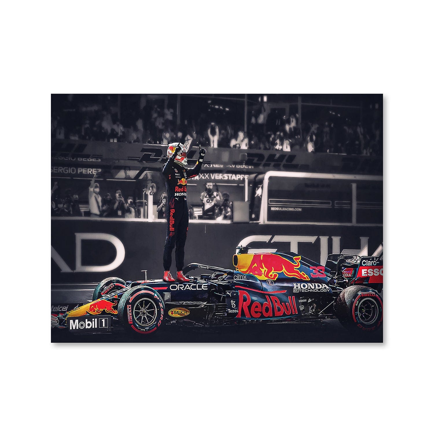 Toile Max Verstappen