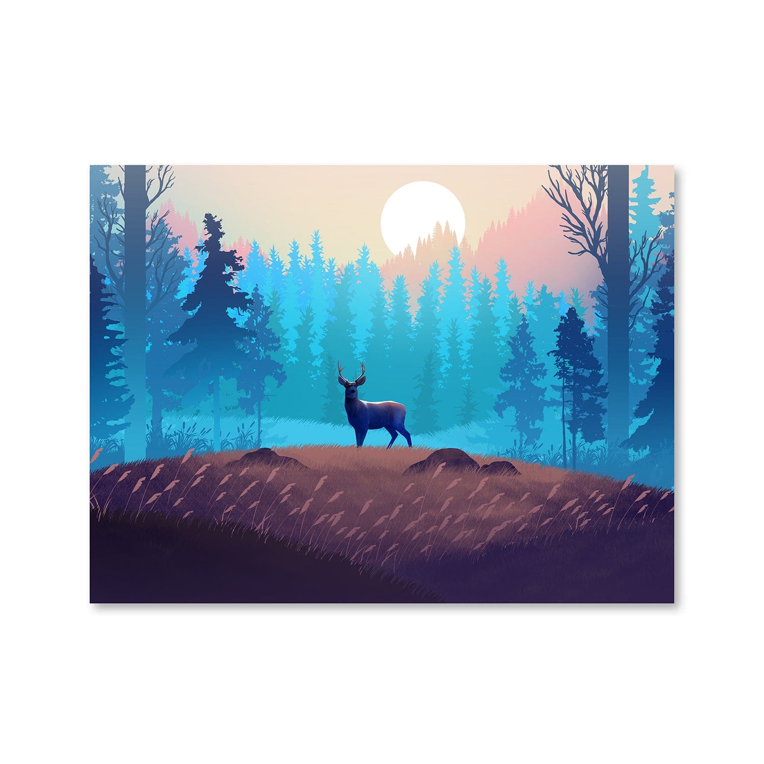 Bois dans la toile de la forêt